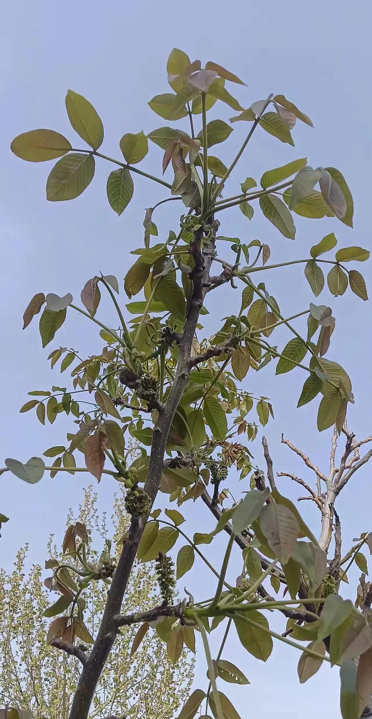 这是发生在我身边的真实事情，闺蜜小翠当年不顾全家人的反对，坚决要嫁给比她大二十