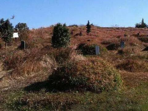 今天堂哥打来电话，告诉我老家的老坟给平了，听到这个消息心里非常难受，不知道以后怎