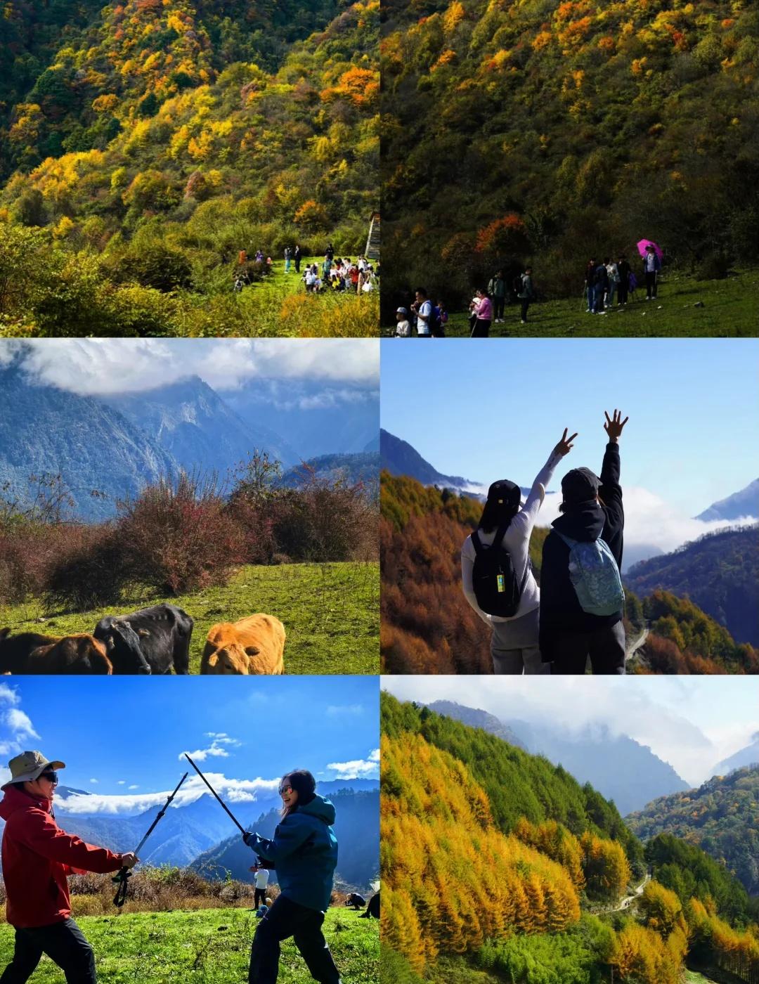 高山牧场🐄彩林峡谷🍂——老鸭山赏秋～10🈷️23/25/26车程近，彩林