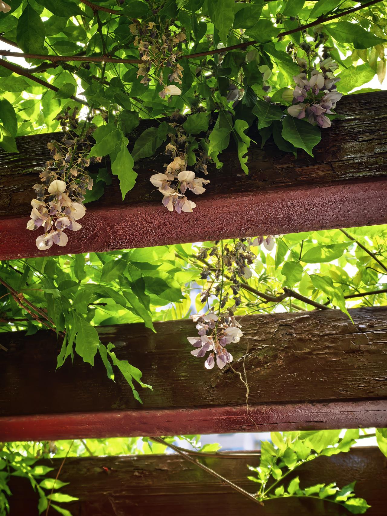 股市里大多数人都是急功近利的，都想挣快钱。有位朋友炒了几十年的股，从来没有价