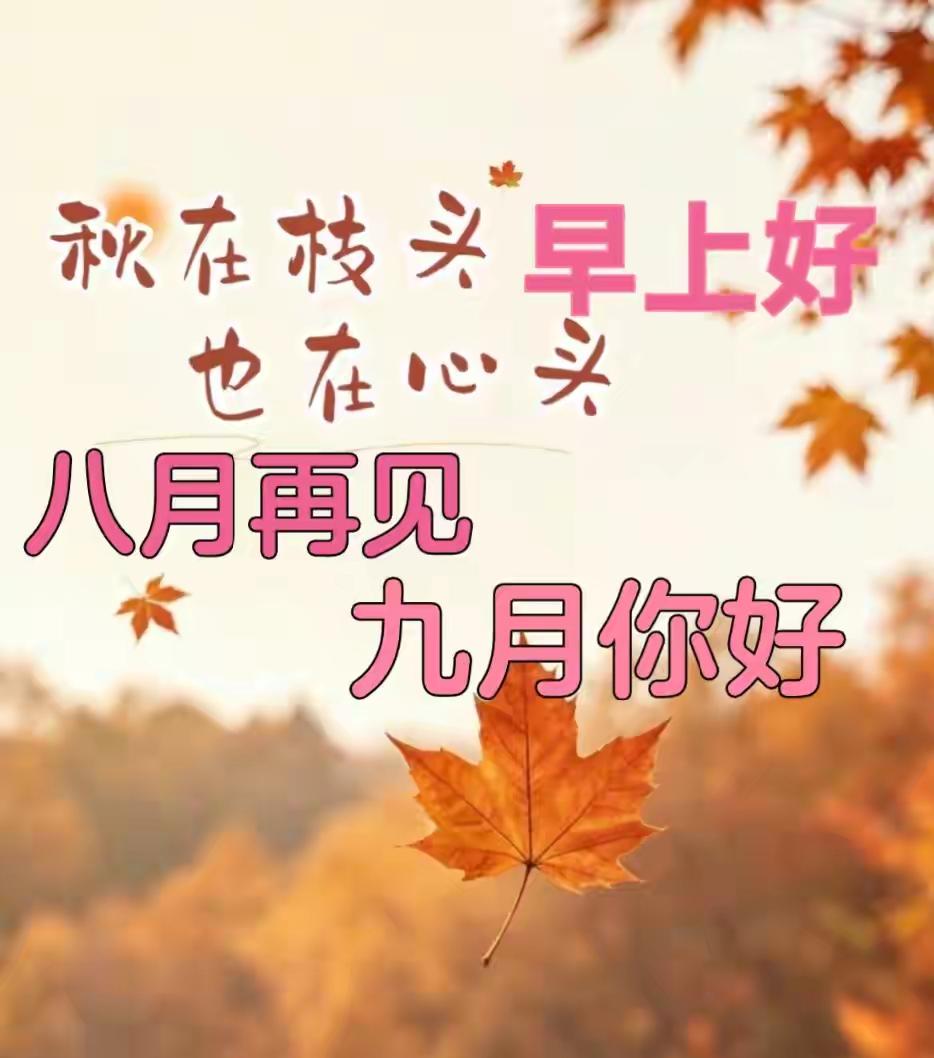 清晨的阳光，是生活赠予的温柔🌞新的周二，卸下昨日的疲惫，怀揣满心热忱奔赴日常