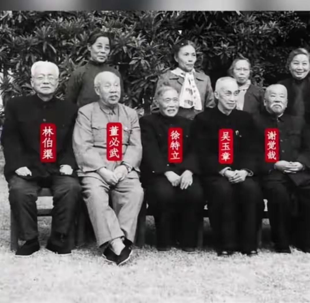 “延安五老”分别是谁？他们有一共同点，毛主席是如何评价他们的？有人知道吗？