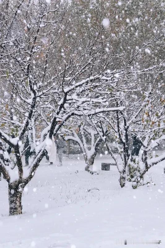 看到“大雪纷纷下”这个上联，我脑海里立马蹦出好多下联。像“和风缓缓来”，“大雪”