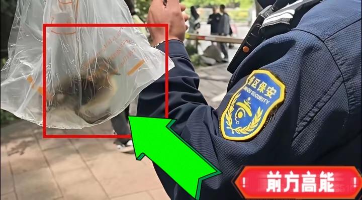 万物皆有灵~大妈偷走公园里小鸳鸯，鸳鸯妈妈大声叫来志愿者，孩子终于获救了。起