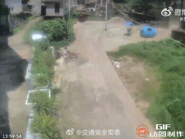 乡下一条小路上，一个女孩正走路回家，谁料被一条没有拴绳的恶犬盯上，直接扑过去撕咬
