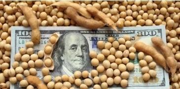 阿根廷被中国海关退回30万吨“漂白”美国大豆！拆开之后发现，连美国原装的大豆袋子