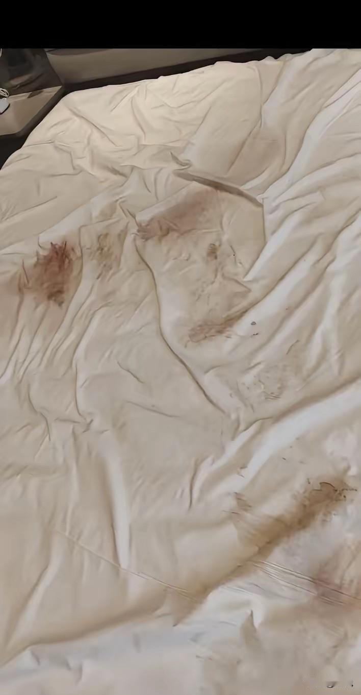 我的天，酒店客人退房之后，这都是什么啊…