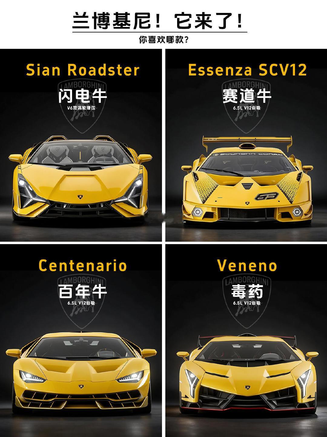 闪电牛/赛道牛/百年牛/毒药，你站哪头牛？#兰博基尼#​