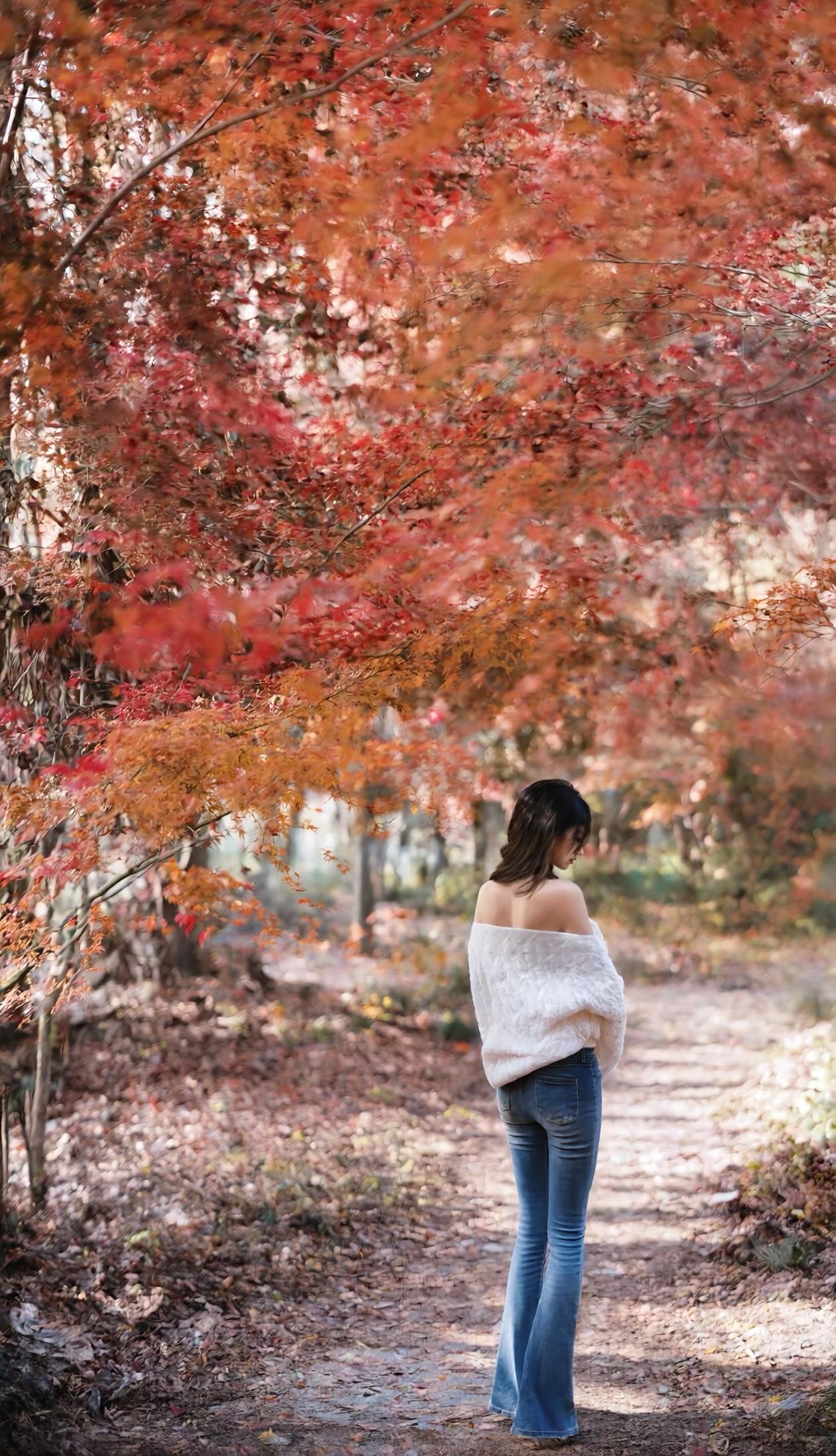 秋日漫步，落叶飘零，白衣飘飘，静享时光。