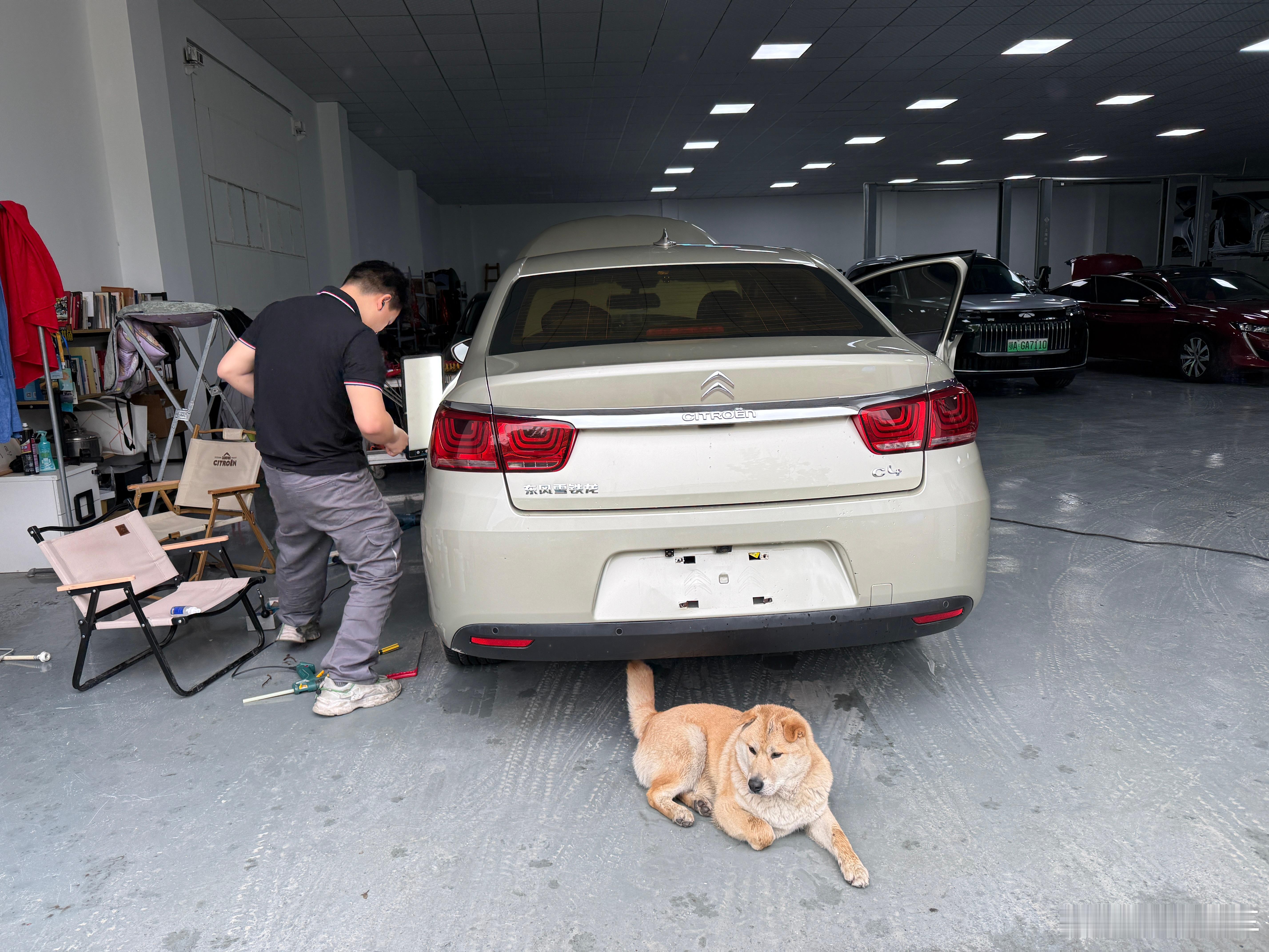 狗比人忠诚，这是一定的。我们店里这只小狗，它和公司任何一个人都熟，但是它只每天跟