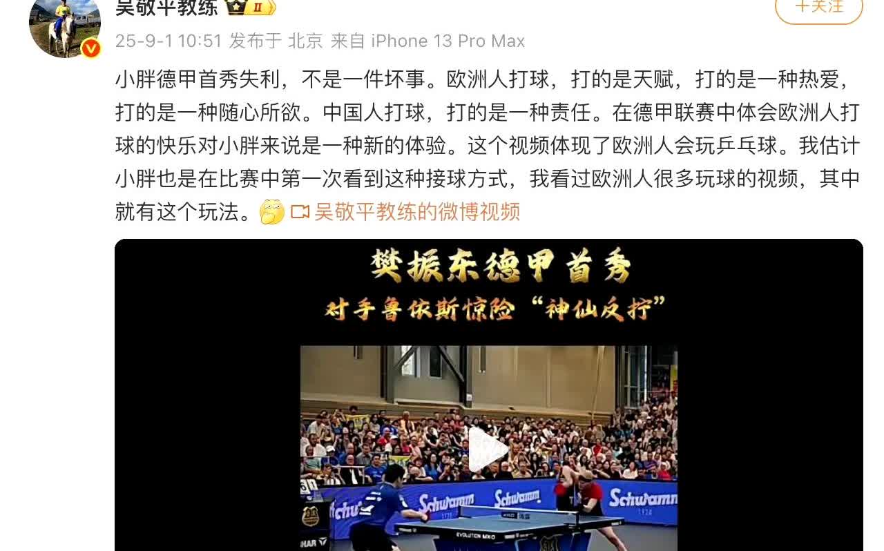 吴敬平，分析樊振东德甲失利，却道出一个鲜为人知的事实:欧洲人打球，打的是一种