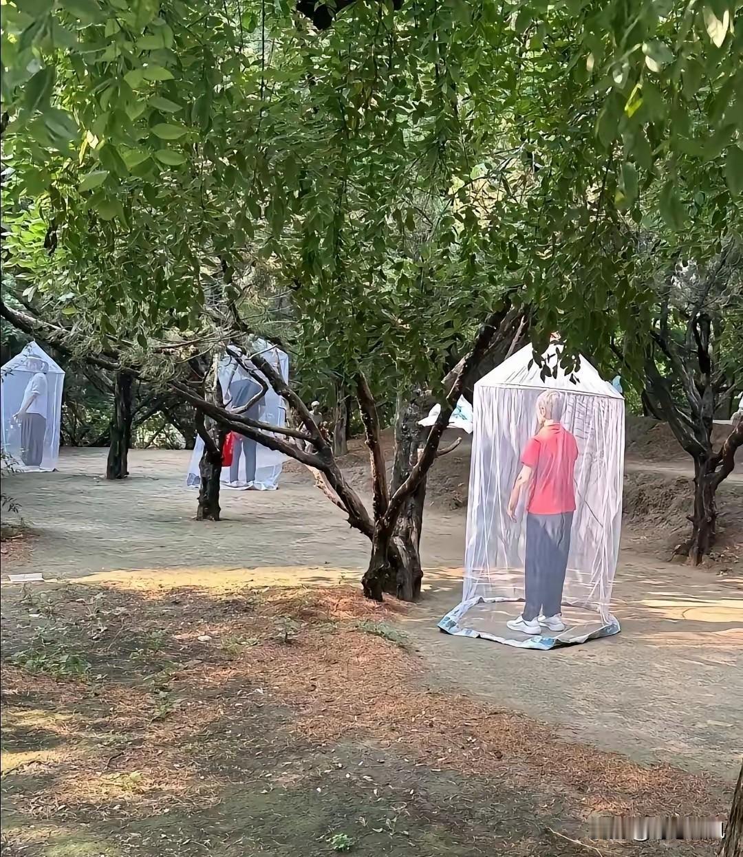 真想不通这些老年人是闲的没事干了，早上锻炼就锻炼呗！这整的是哪出前两天刷到