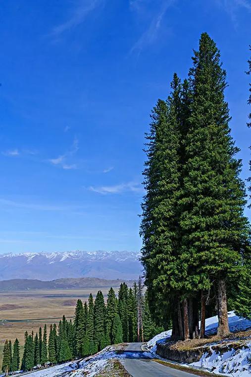 上联：青山依旧，几度春秋，下联：沧海未枯，千载月照，下联：碧水长流，万古云移