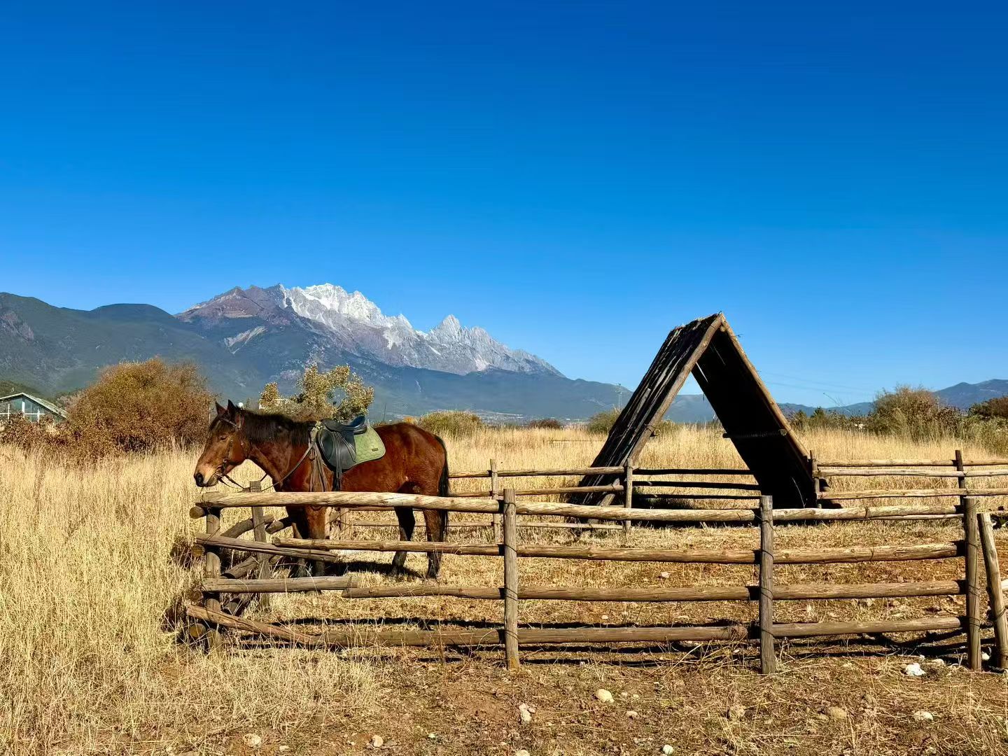 云南丽江游，｜9元游玩植物园雪山美景攻略！