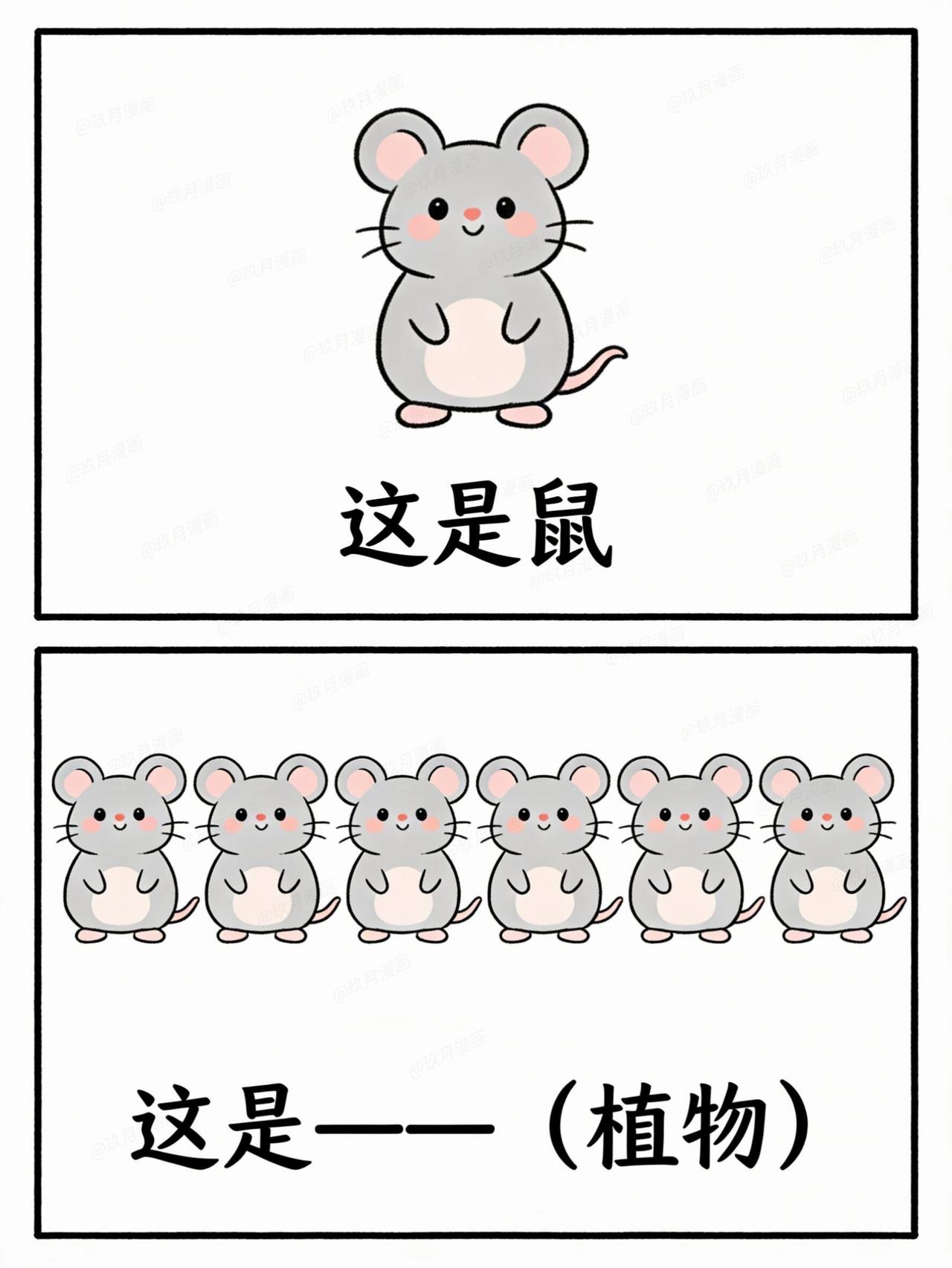 谐音梗看图猜植物（32）脑洞大开，快来猜快来猜猜看，看你能猜中几个？谐音