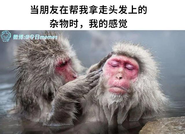 别动（9gag）今日meme今日memes