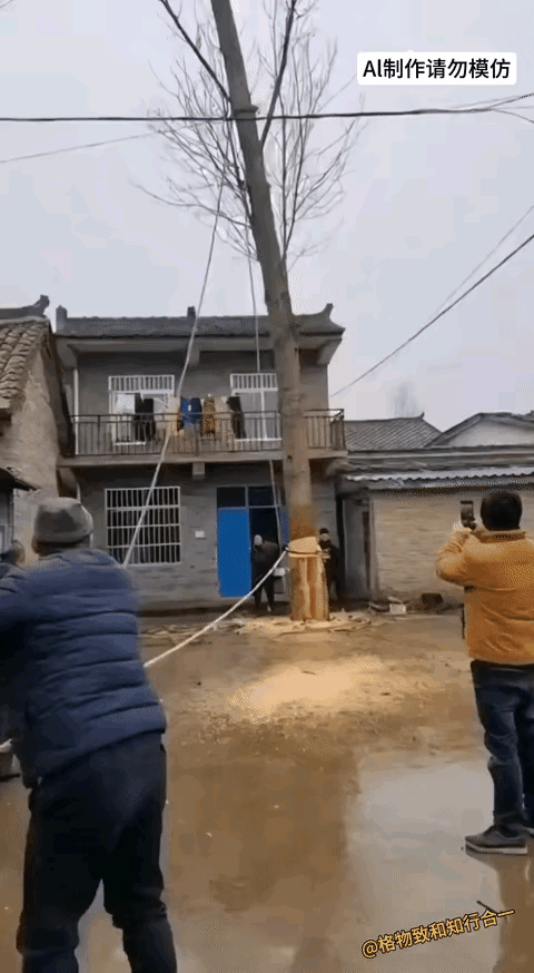这是在伐树还是在扒房子？能干这个事的人，肯定都是有一定经验的老手。今天几个人