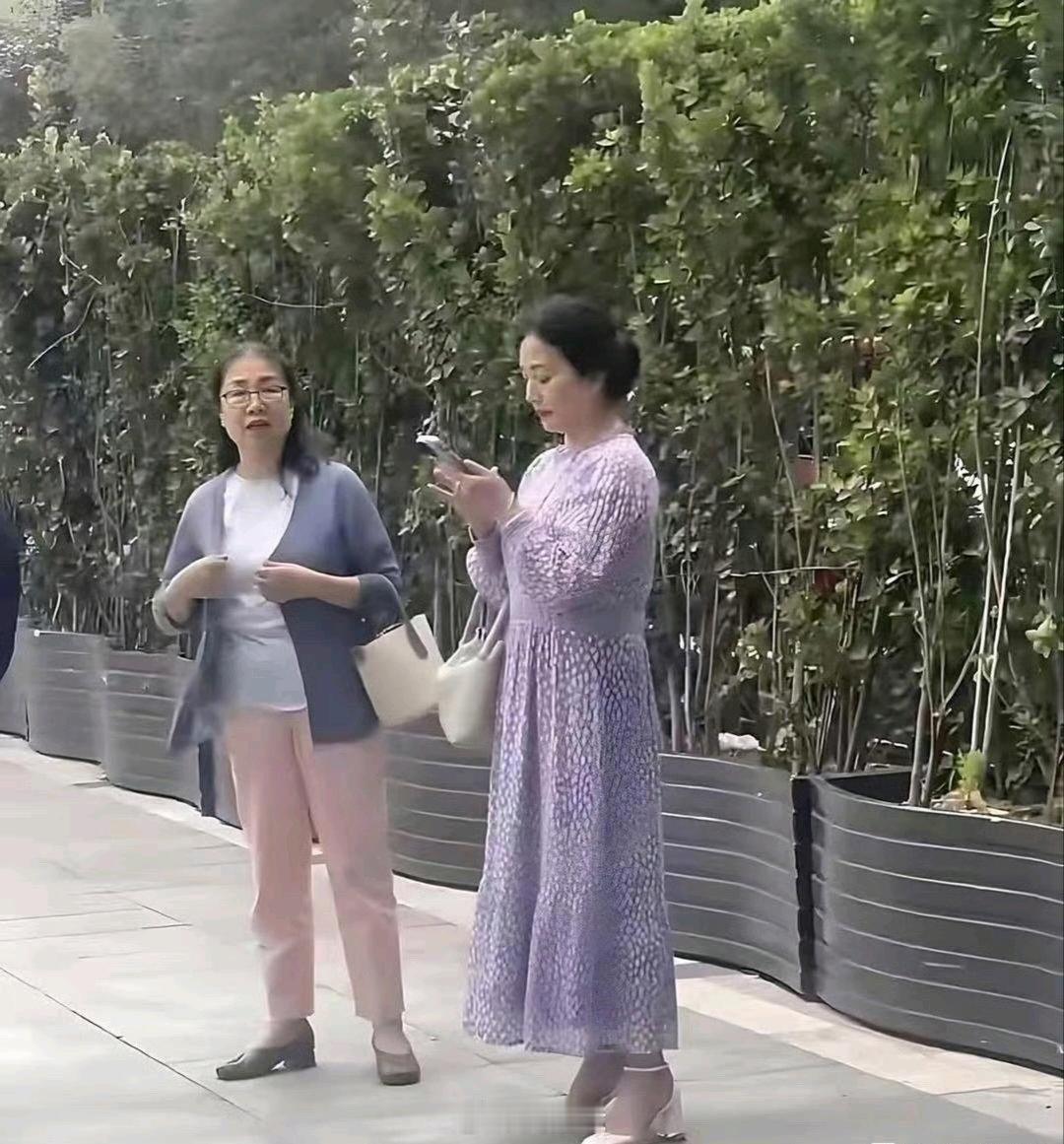 刘亦菲妈妈被偶遇，都65岁了，气质还这么好