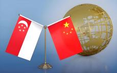 大家有没有发现，无论新加坡的总统，总理以及新加坡的媒体对中国说什么，中方从来不予