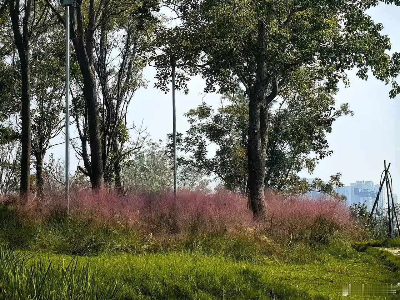 想要活得久，要管住嘴，这10个要记住：​1、猪头肉高脂肪，尽量少吃。2、过夜饭菜