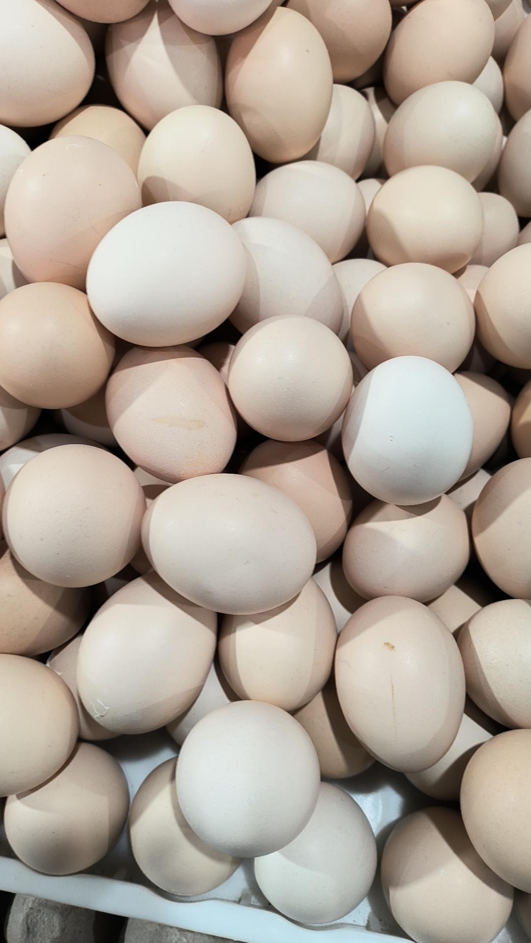 离婚冷静期还有三天明明已经下了决心，可是内心还在挣扎亲戚朋友们都在试图劝和