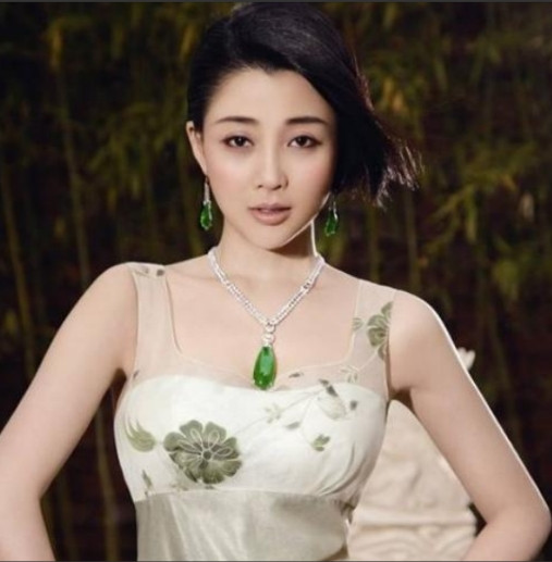 2009年，殷桃在富豪孙东海的疯狂追求下，成为了他的女人，没想到孙东海又惦记上了