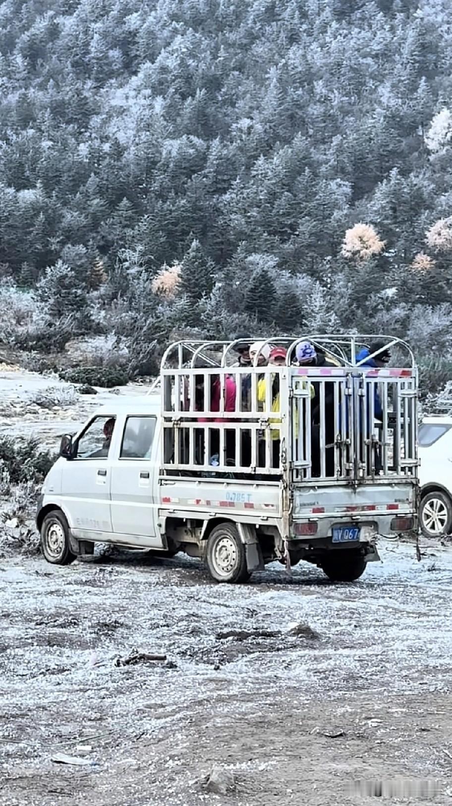 这还能说什么好，这种小货车平时应该都是拉牛马的吧！或者拉羊群。现在摇身一变，直