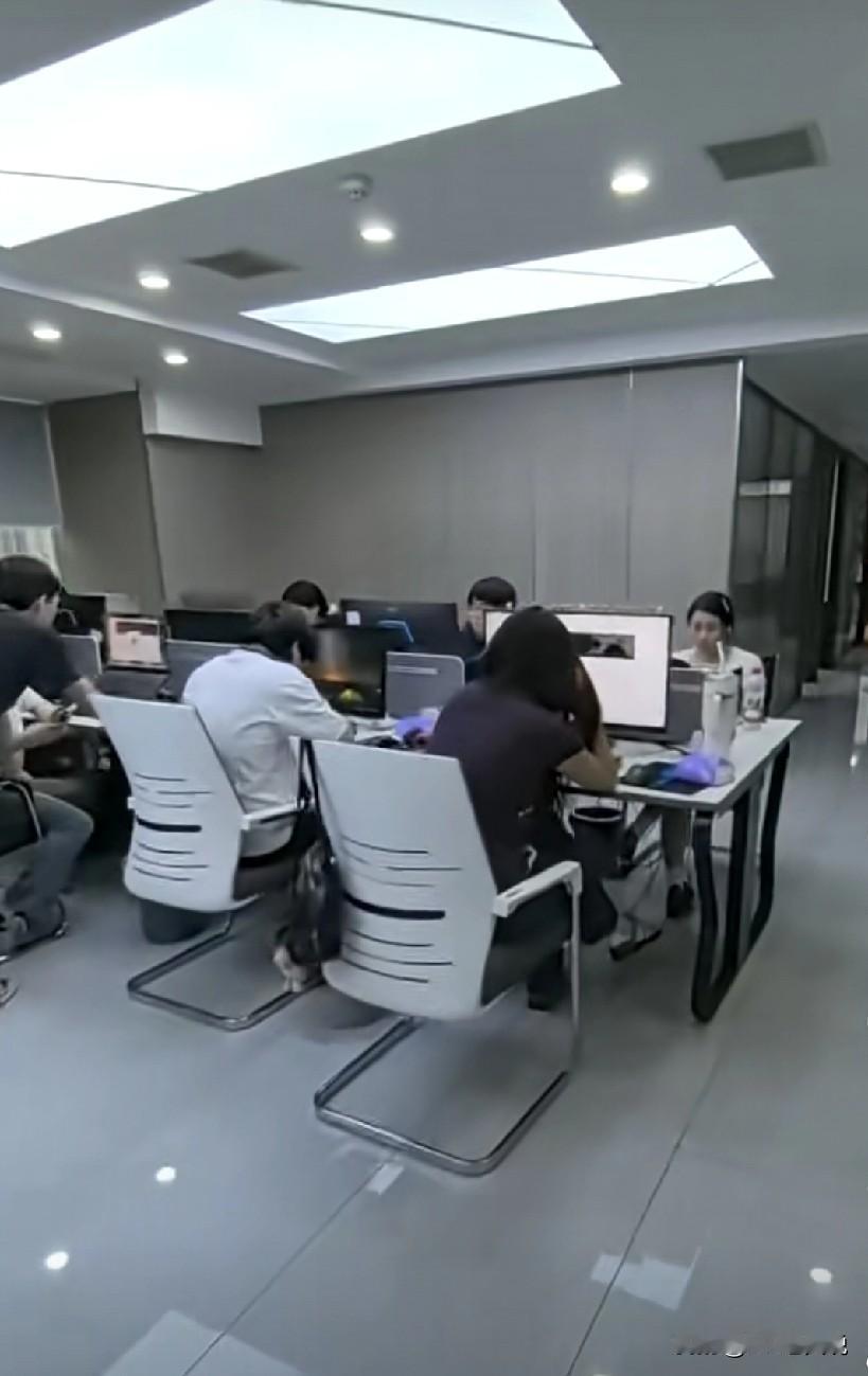 作为一个光上仲裁庭就超过20场+的hr，真心想和咱打工人同胞说一句话：能好聚好散