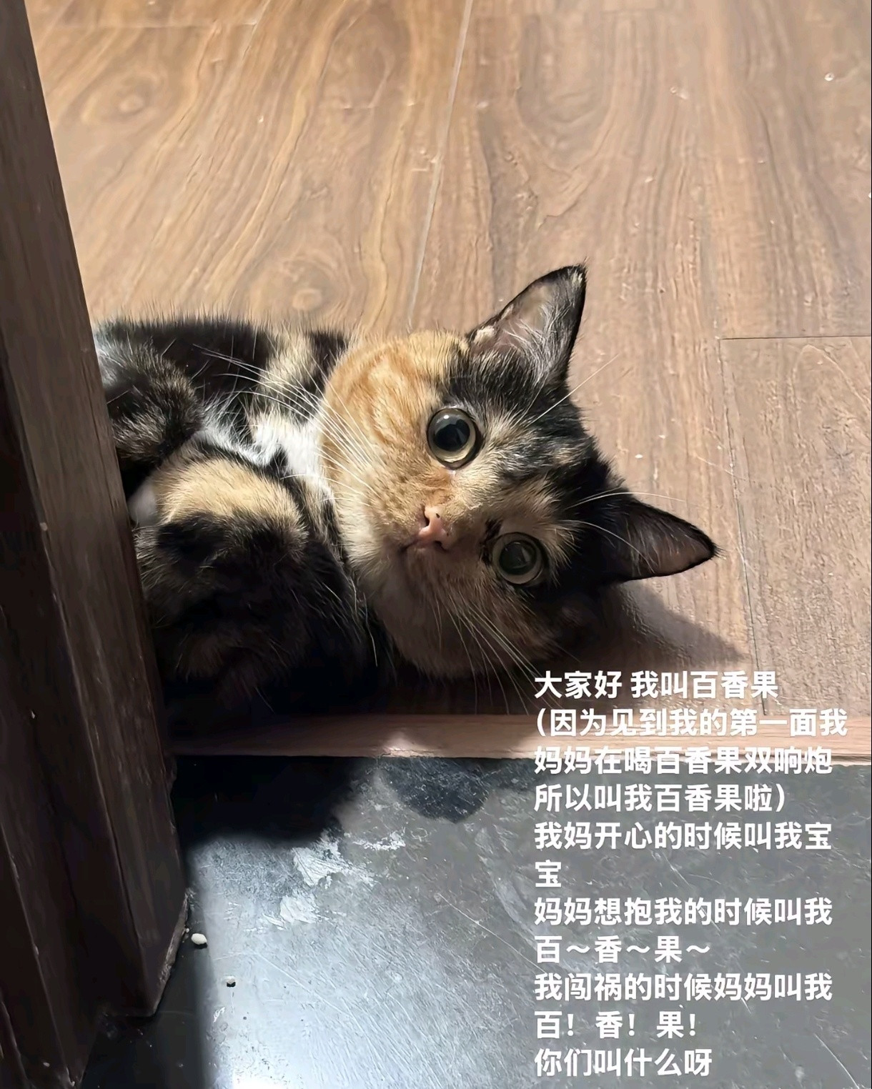 哈哈哈我就知道评论区肯定会这样[doge]​​​