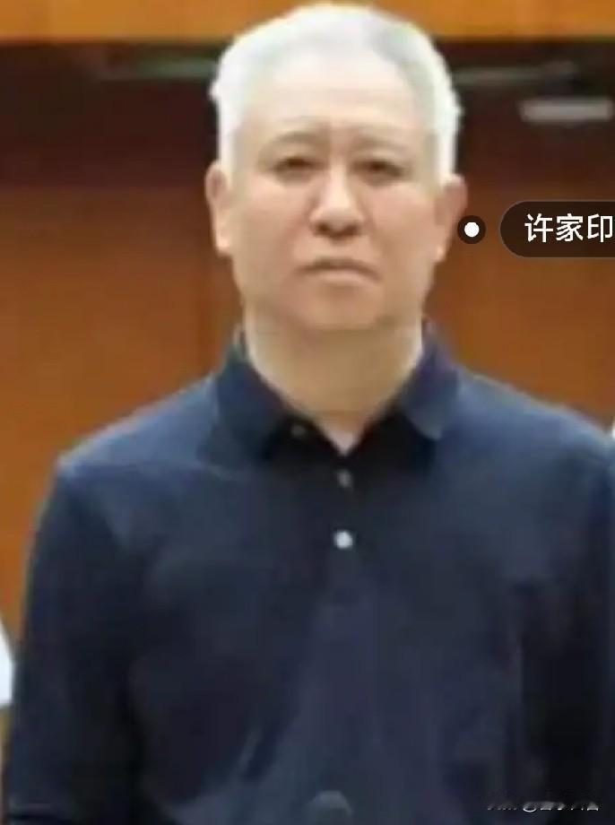 我觉得判轻了！因为他毕竟捅的窟窿太大了！许家印被判无期，无期在服刑满13年后
