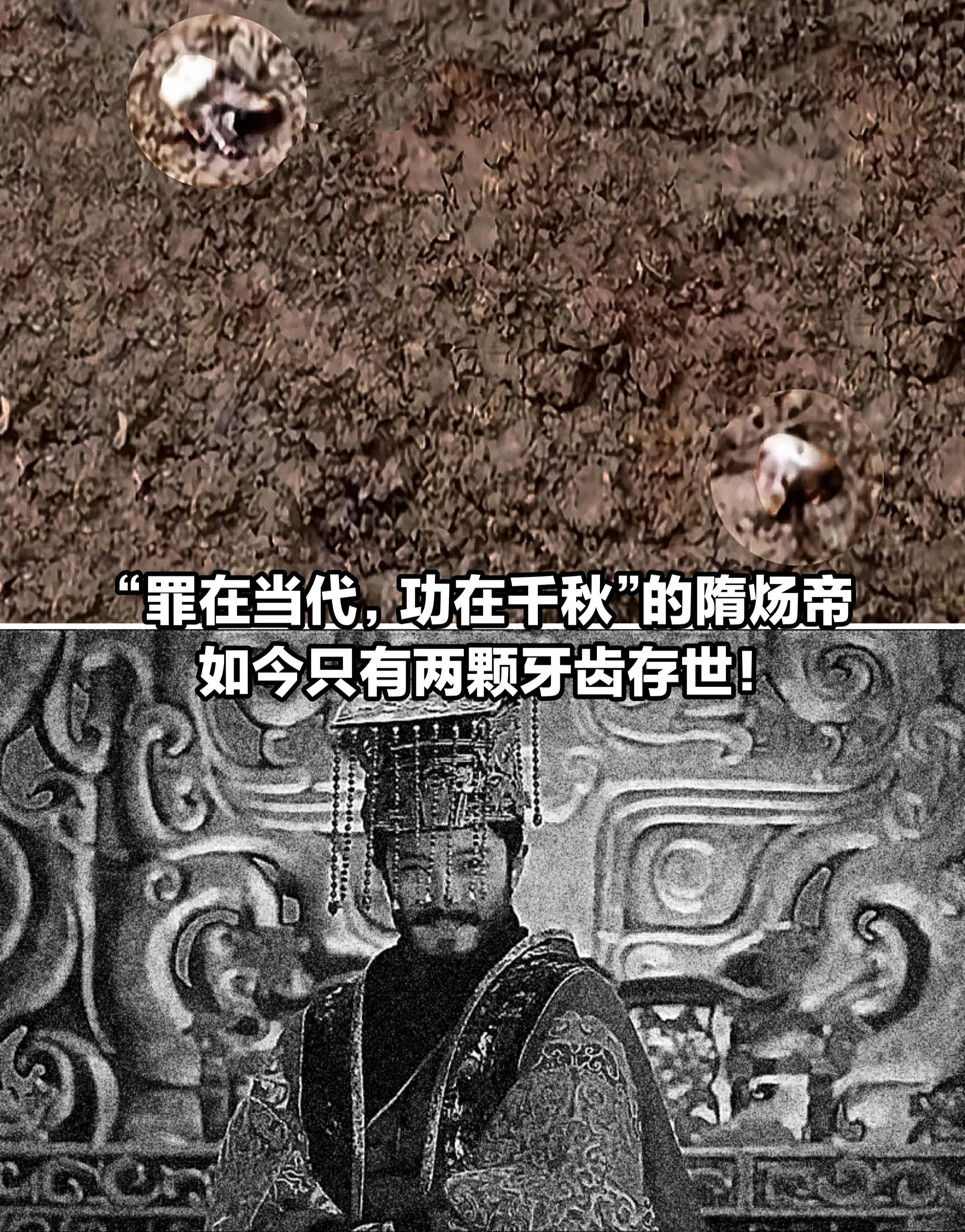 隋炀帝杨广，1400年后只剩两颗牙齿。
