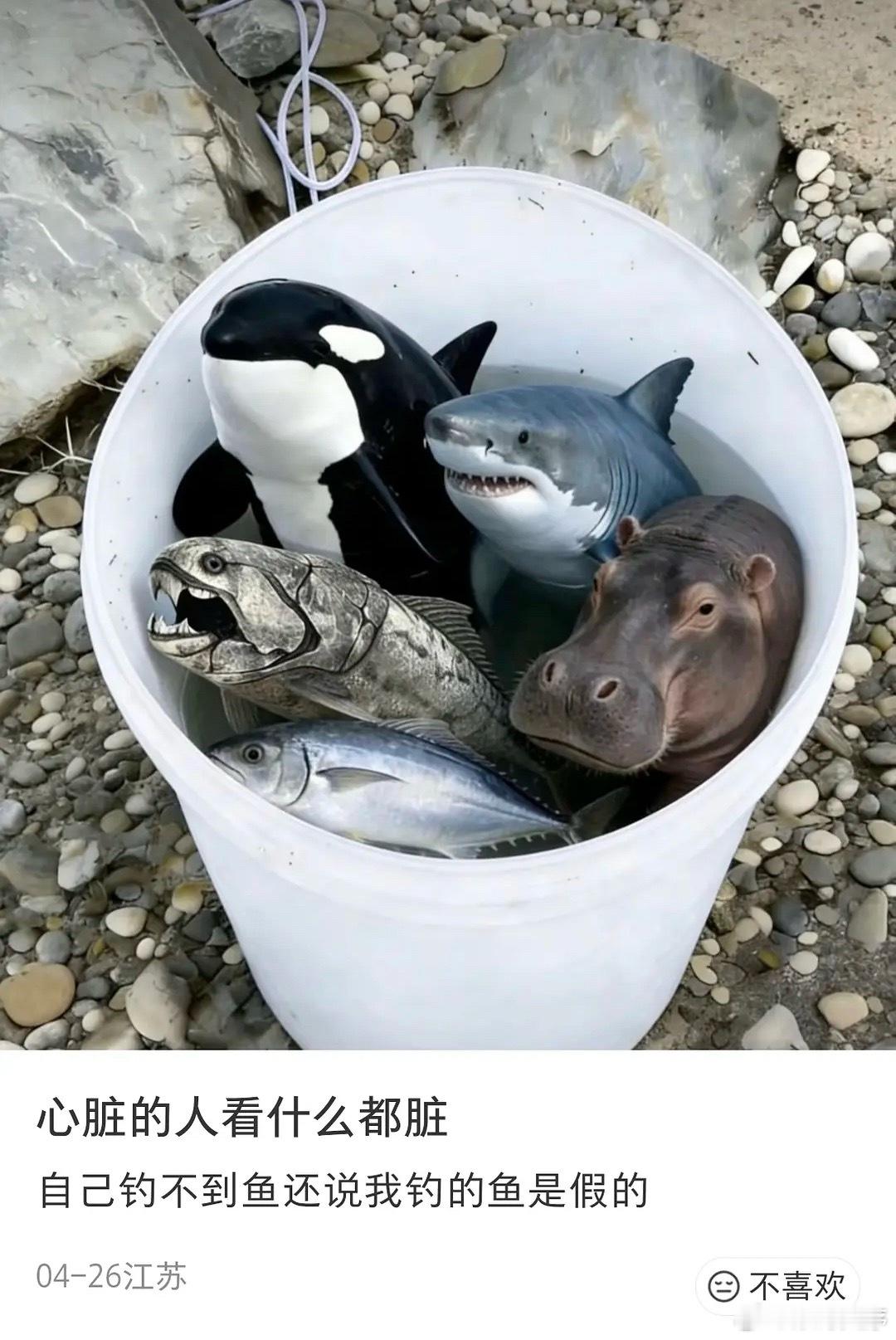 亲自钓的，钓鱼佬怎么就不信呢