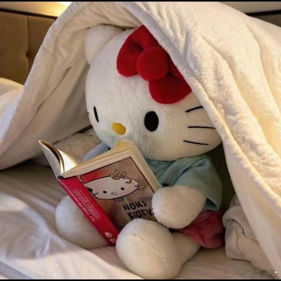 HelloKitty超可爱图片！动漫点评团次元新星计划