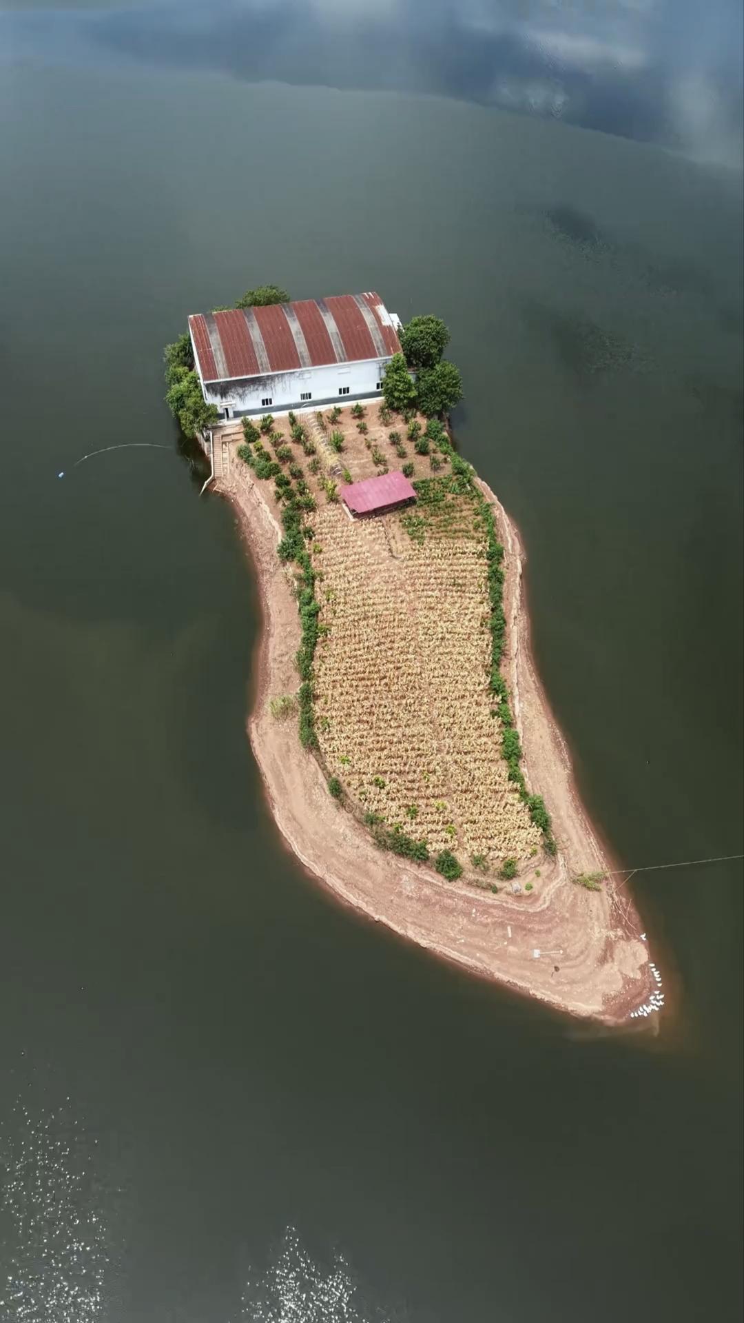 这上面住着一位重庆最潇洒的钓鱼佬，为了圆自己的钓鱼梦，毅然辞掉城里的高薪工作，回