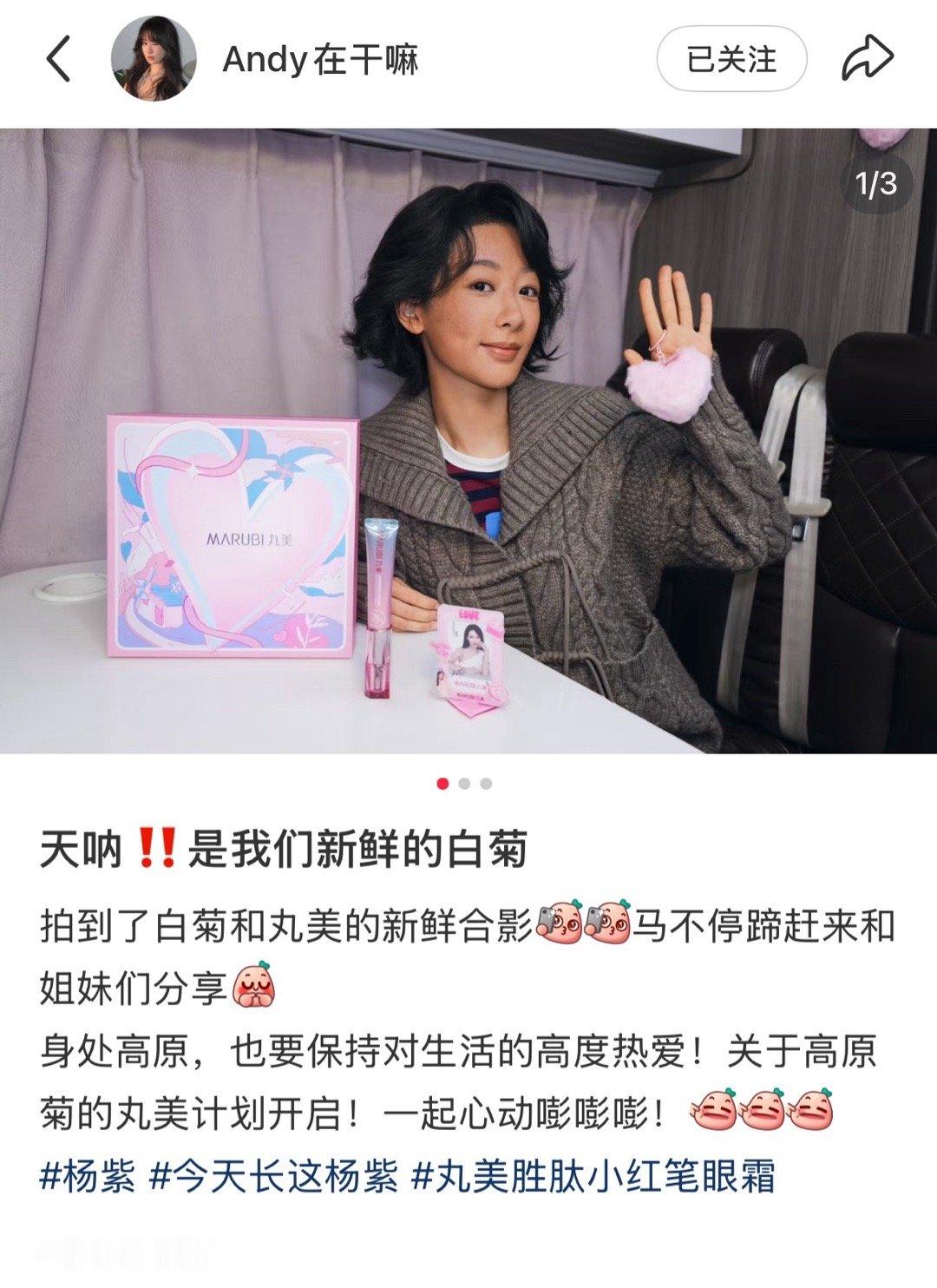 居然是新鲜的杨紫白菊怎么变小黑菊了​​​
