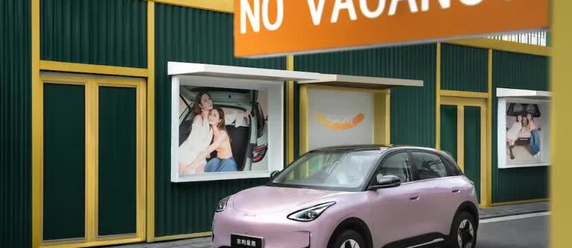 新来的00后同事想买辆10万元以下的车，我推荐她去看一下比亚迪海鸥或海豚，结果她