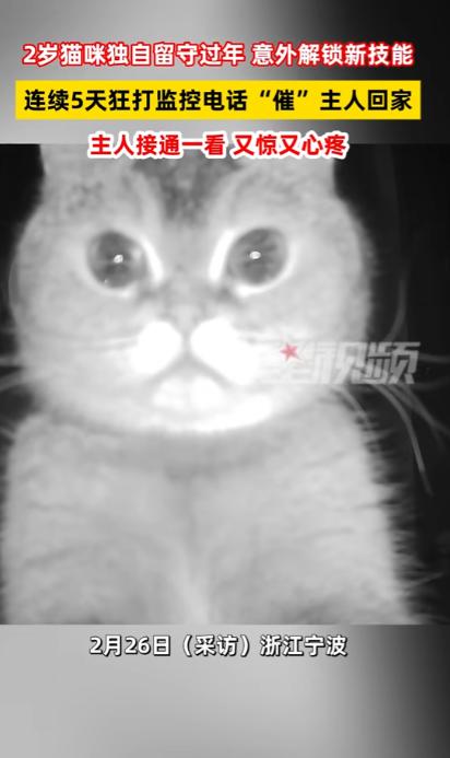 “万物有灵！”浙江，一女子年前要回东北老家过年，但是家里有只宠物猫不方便带回去，