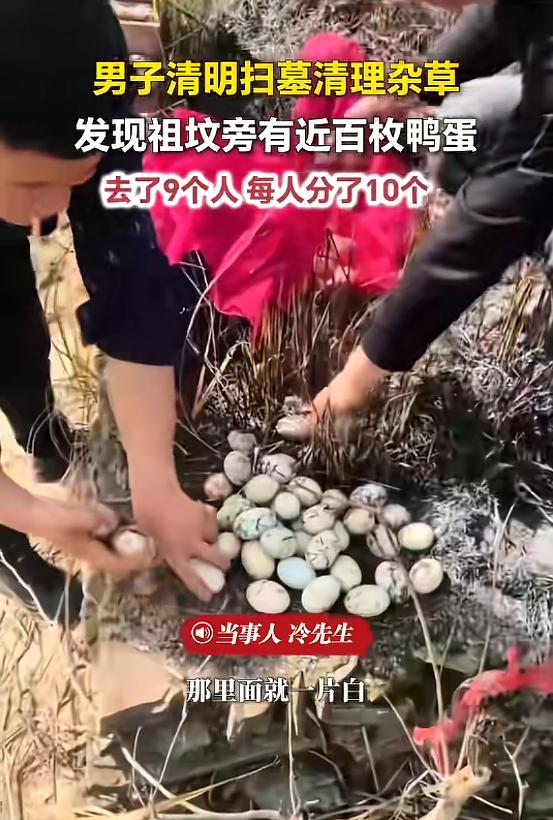 “天上掉馅饼了！”近日，江西九江，一男子和亲戚回老家扫墓，见祖坟周围都是杂草，