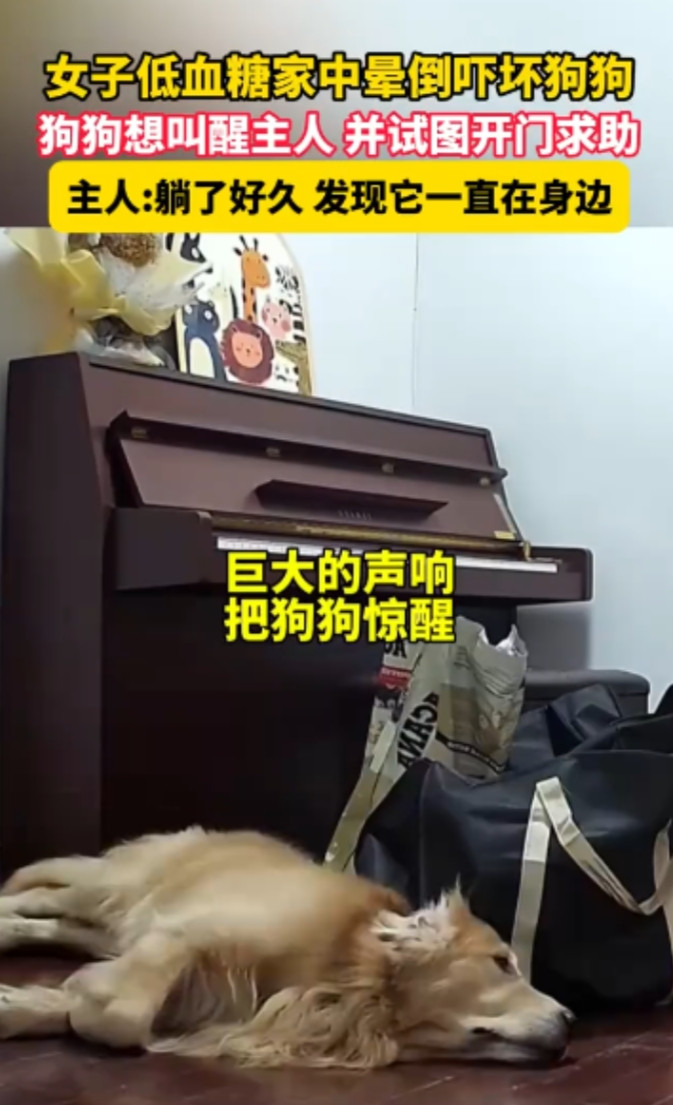 万万没有想到，上海，一独居女子独自在家拆包裹时，突然发生低血糖后晕倒在地，结果慢