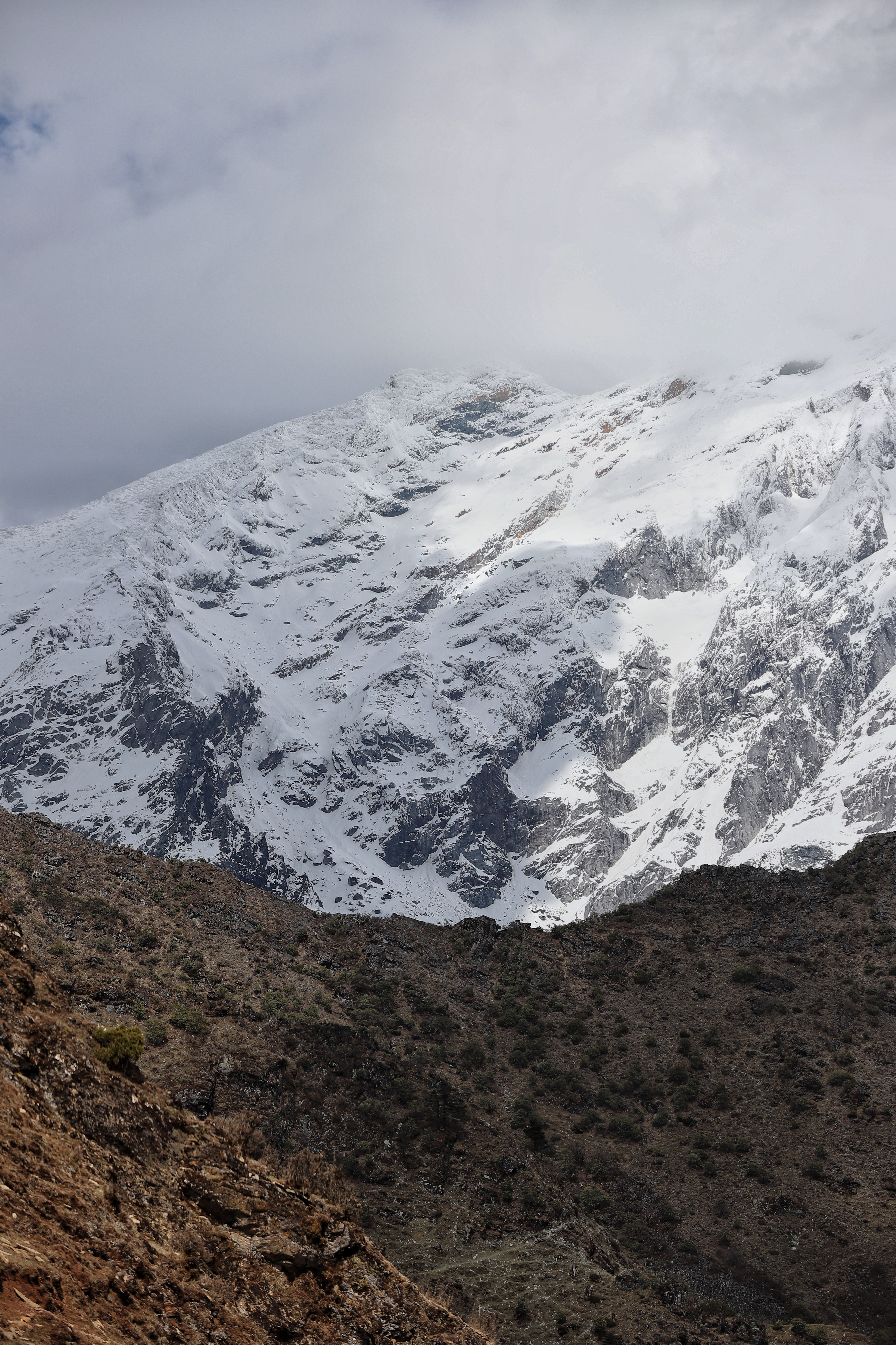 广东的客人说：对雪山毫无抵抗力！🏔️（这两天我们在带客人去徒步路上拍的雪山）豆