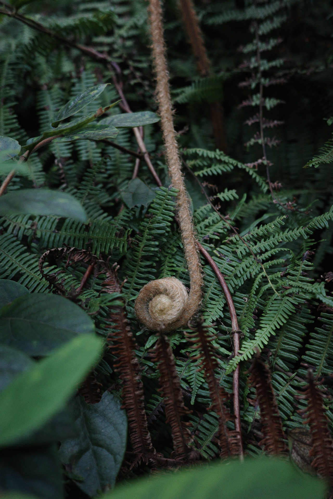 请教,显示器支架哪家强?