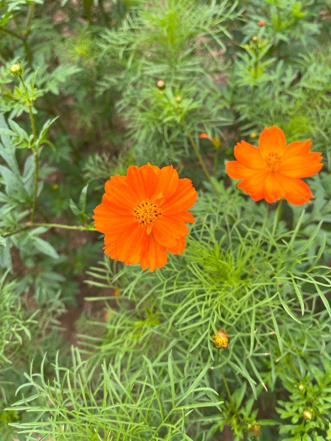 杨绛先生说:其实，女人哭不了几次，哭着哭着就开始恨，恨着恨着就开始狠，狠着狠着心