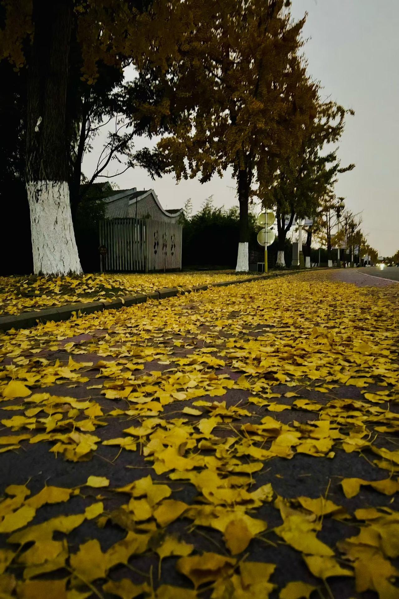 我以为的走出去看世界看风景，结果是让我大跌眼镜。哪里有什么风景看？只有白天