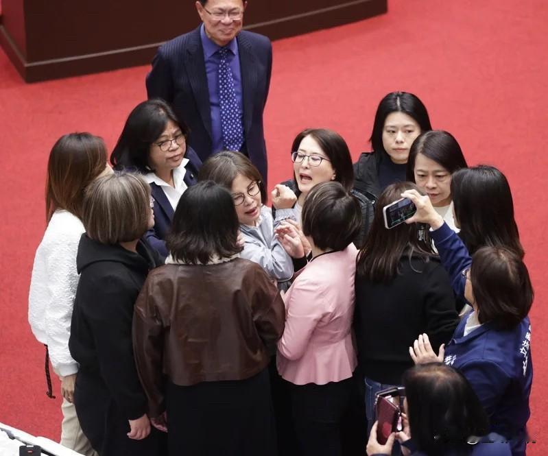 陈玉珍遭王义川叫嚣“中国人走开”！王鸿薇、吴思瑶爆推挤冲突立院今天（30日）