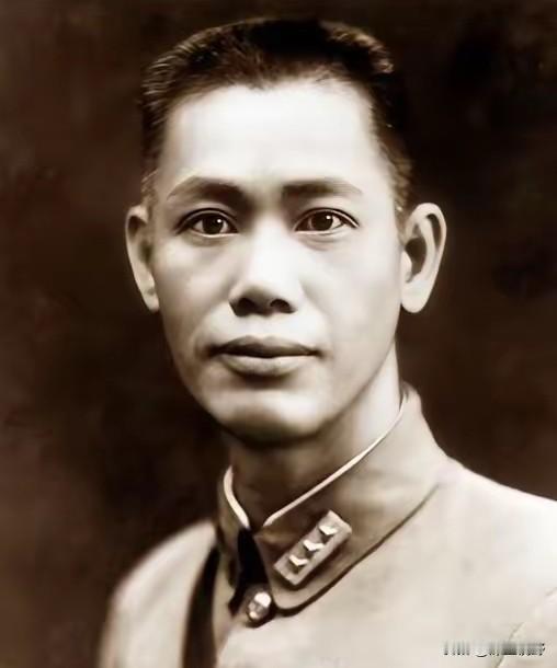 南昌起义的时候，没有贺龙，可能都搞不起来。因为当时说是要参加起义的蔡廷锴临时不参