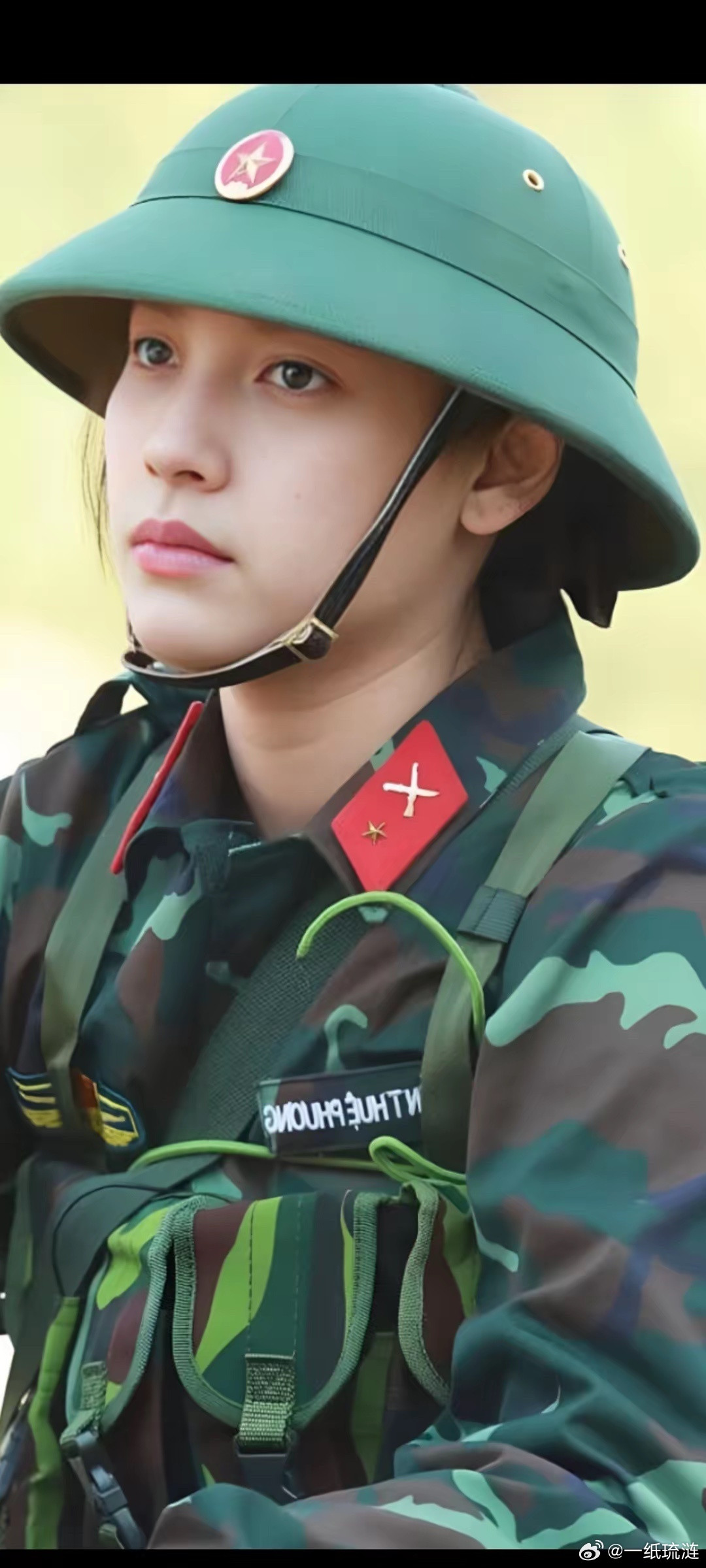 台湾学者认为:越南为了接轨中国，连国防都不要了。如果中国真正要打击越南，越南防得