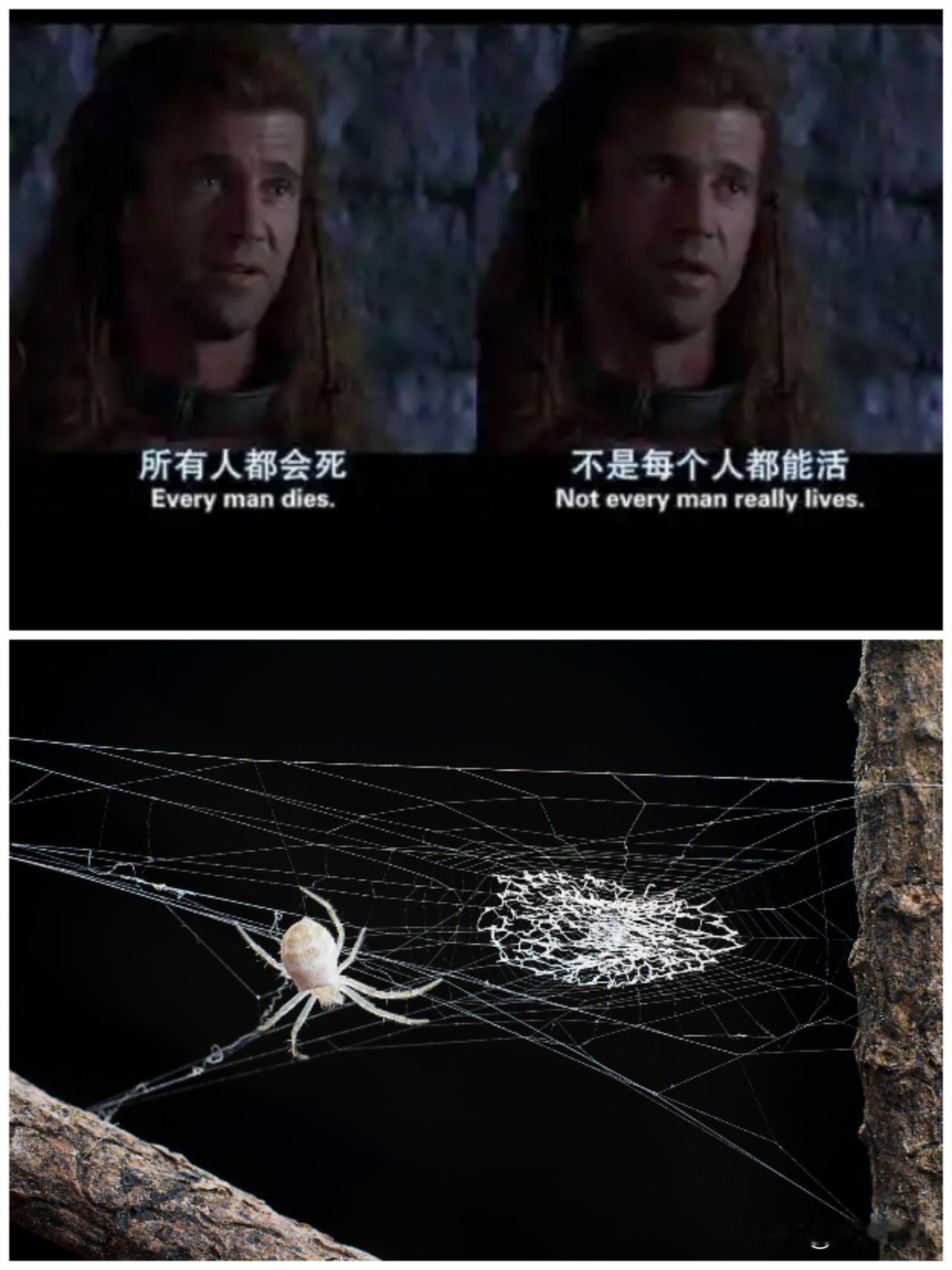 置之死地而后生，人生的大彻大悟，也接近如此吧。人生如战局，置之死地而后生，有