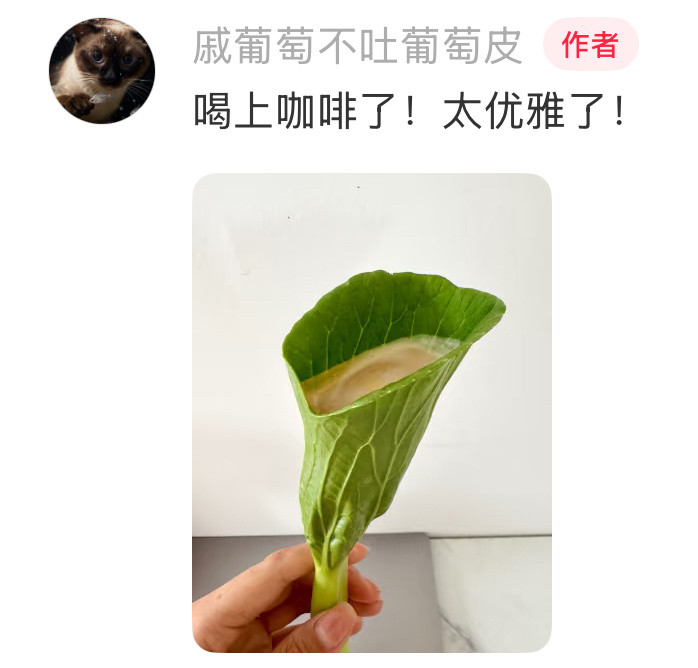 原来有这么多奇形怪状的蔬菜