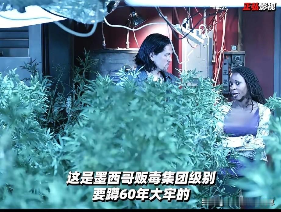 很多留学生的家长会问A孩子为什么不回国？A孩子说：可能染上了什么。留学生在国外的