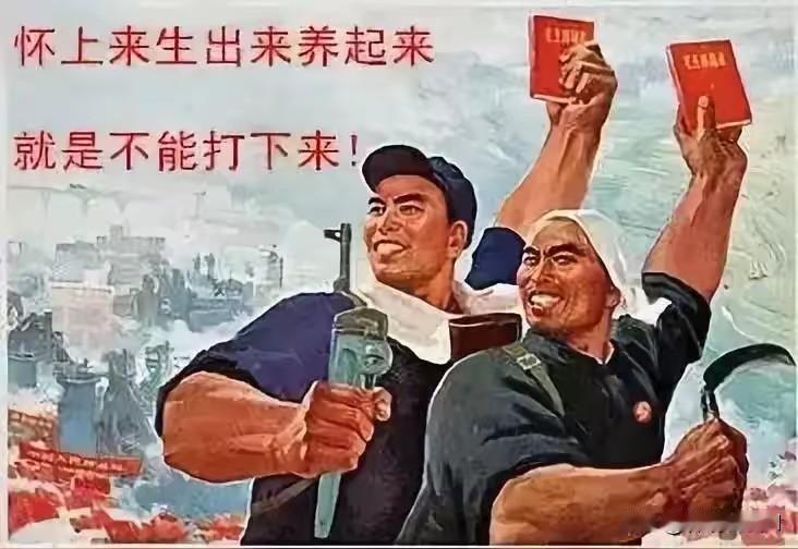 呵呵……好熟悉的标语，好亲切的语气：怀上来、生出来、养起来，就是不能打下来！如